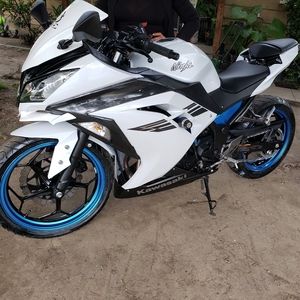 Ninja kawasaki 300